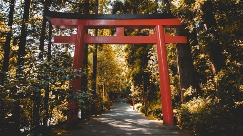From Tokyo: Private Mt. Fuji and Hakone Tour by Car - Lake Ashi and the optional cruise