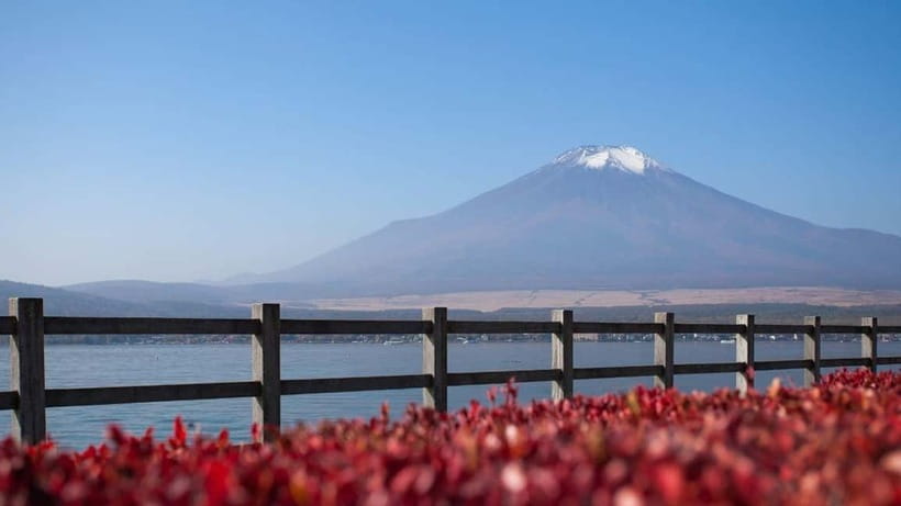From Tokyo: Private Mt. Fuji and Hakone Tour by Car - Hakone Shrine and Heiwa no Torii