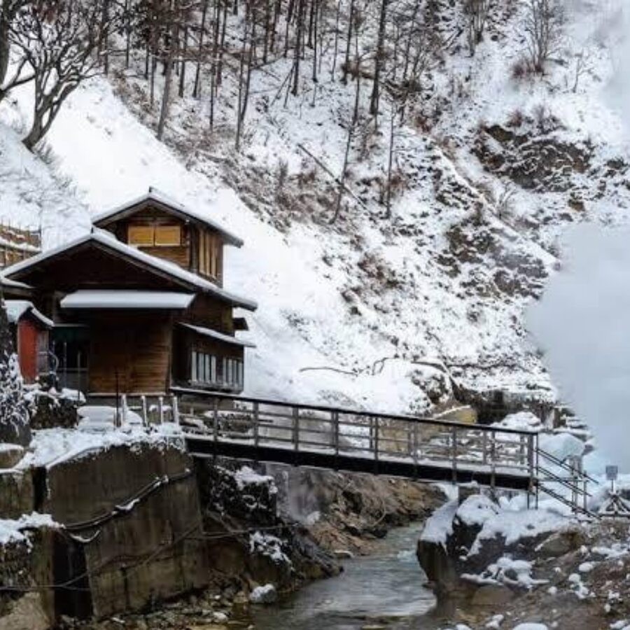 From Tokyo: Private Tour Snow Monkey Park & Zenko-ji Temple - The real value is flexibility, not speed