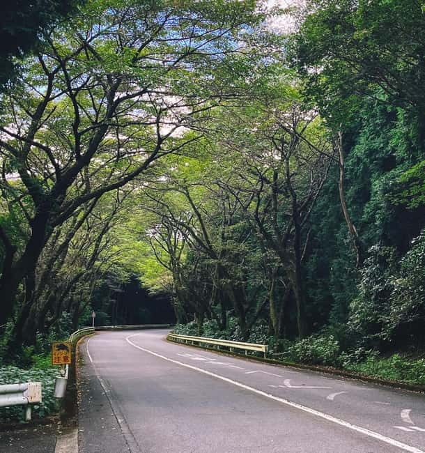From Tokyo: Private Tour to Fuji/Hakone - Onsen, Art, Nature - Leaving Tokyo in a private van