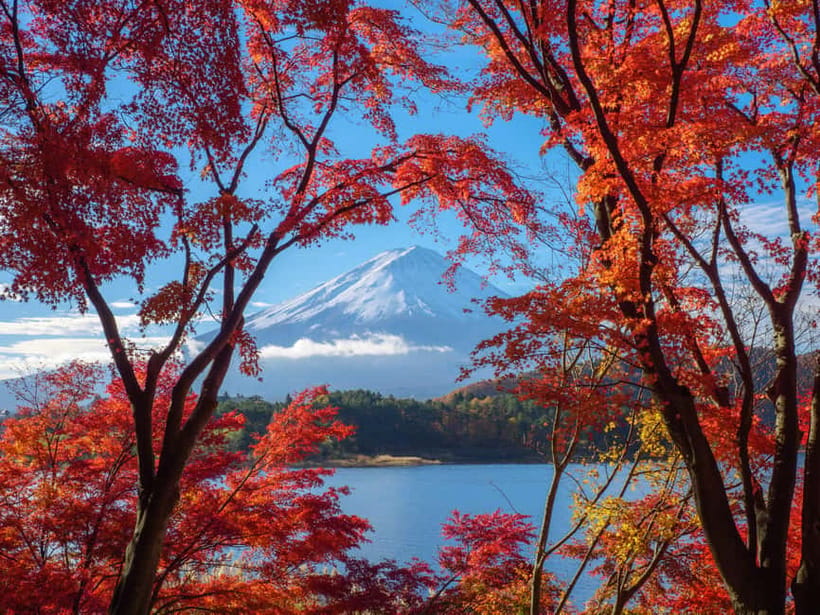From Tokyo: Private Tour to Fuji/Hakone - Onsen, Art, Nature - Shakushi Pass and the return to Tokyo