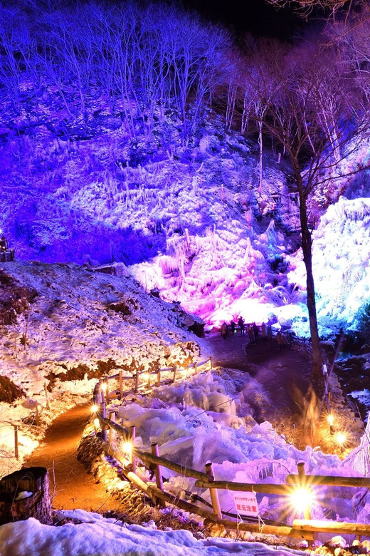 From Tokyo: Seibu Railway 1 Day Pass and Nagatoro - Who should use this pass?