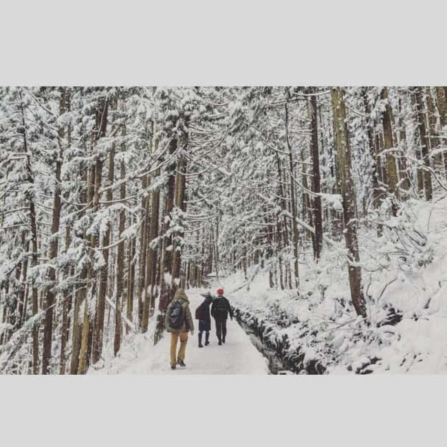 From Tokyo: Snow Monkey Park and Miso Production Day Tour - Zenko-ji Temple and Nagano’s spiritual center