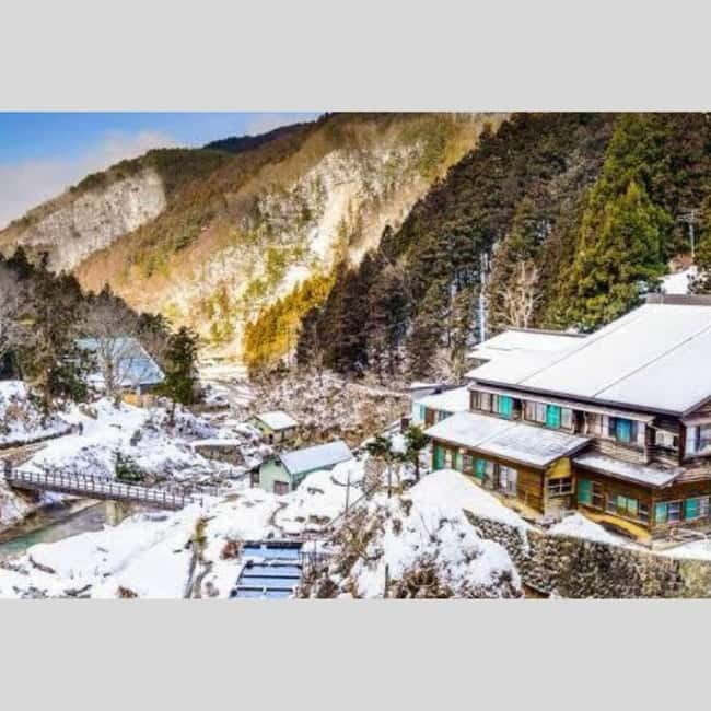 From Tokyo: Snow Monkey Park and Miso Production Day Tour - How flexible is the private schedule?