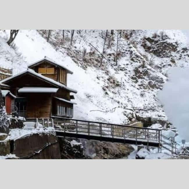 From Tokyo: Snow Monkey Park and Miso Production Day Tour - Jigokudani Monkey Park: the reason to go