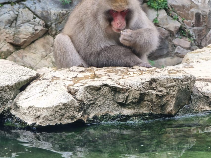 From Tokyo: Snow Monkey Private Customize Day Tour - The long road from Tokyo to Nagano