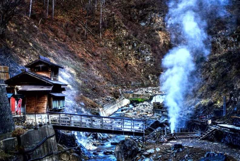 From Tokyo: Snow Monkey Private Customize Day Tour - Jigokudani and the famous bathing macaques