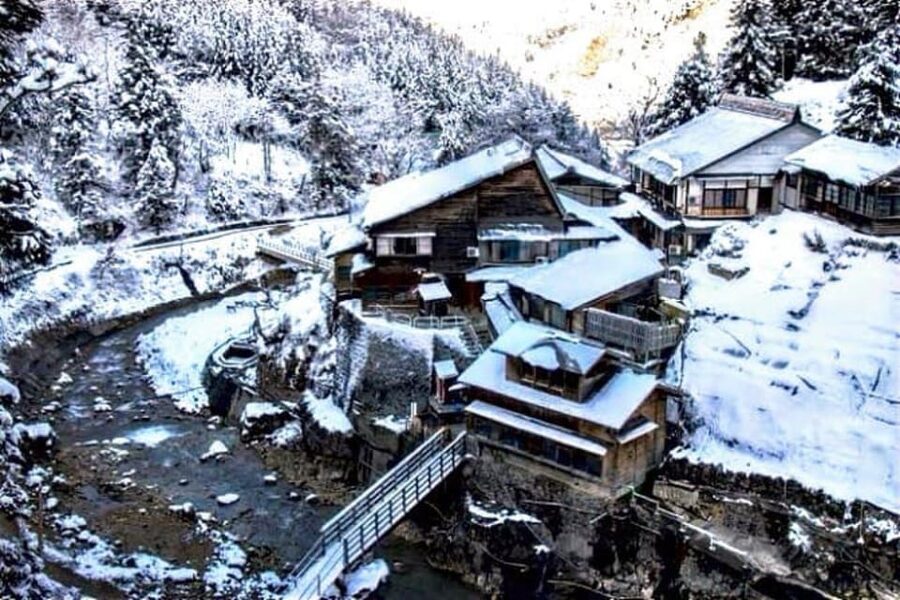 From Tokyo: Snow Monkey Private Customize Day Tour - Should you book this private snow monkey tour?