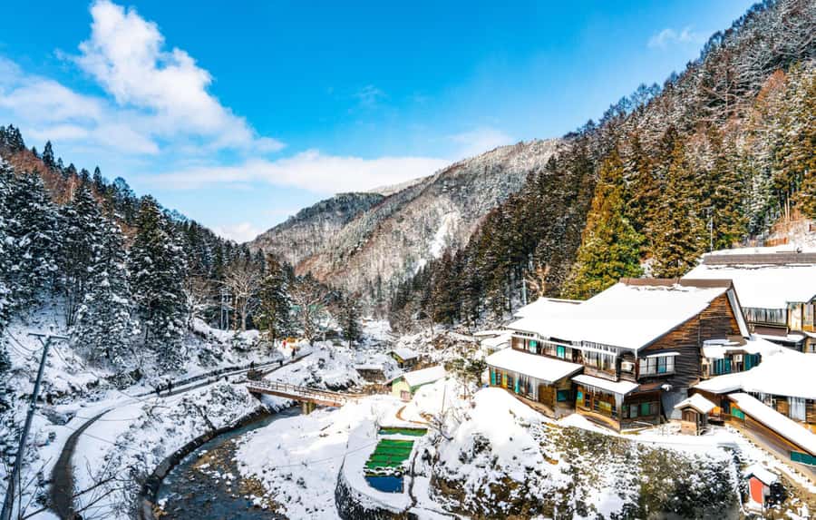 From Tokyo: Snow Monkeys and Zenkoji Temple Day Trip - FAQ