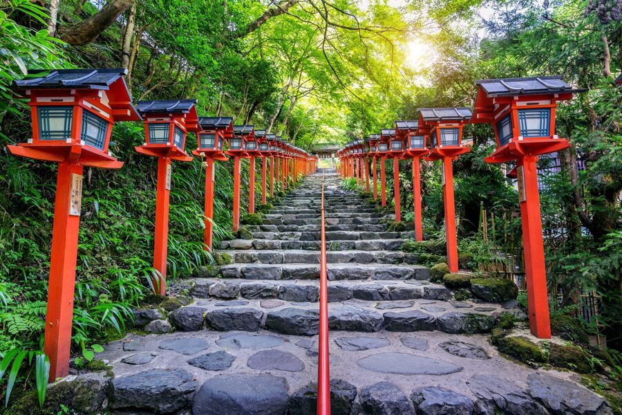 From Tokyo: Snow Monkeys and Zenkoji Temple Day Trip - Who should book this Nagano day trip?