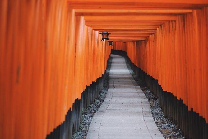 From Tokyo to Kyoto and Nara: A Captivating Full-Day Private Tour - Nara Park and the deer