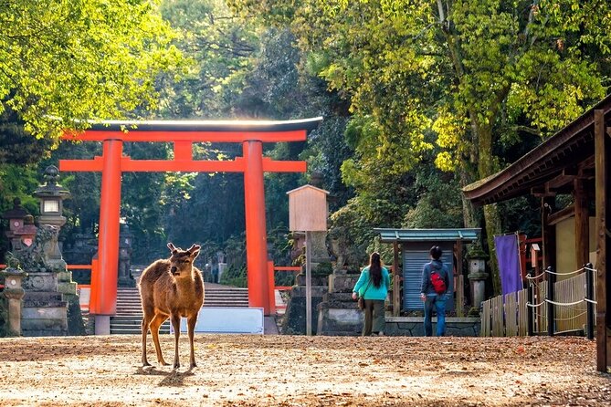 From Tokyo to Kyoto and Nara: A Captivating Full-Day Private Tour - Kinkakuji, Kyoto’s Golden Pavilion