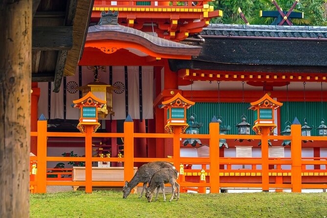 From Tokyo to Kyoto and Nara: A Captivating Full-Day Private Tour - Fushimi Inari and its red torii gates