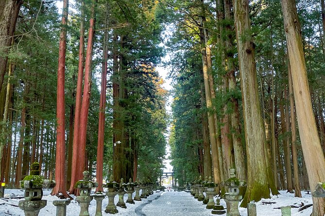 From Tokyo to Mount Fuji! Private Car Tour by Eng Speaking Driver - Why a private car makes Mount Fuji easier