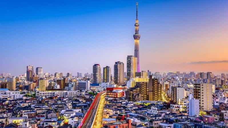 From Tokyo: Tokyo Private Customize Tour With English Driver - Key points to know before booking