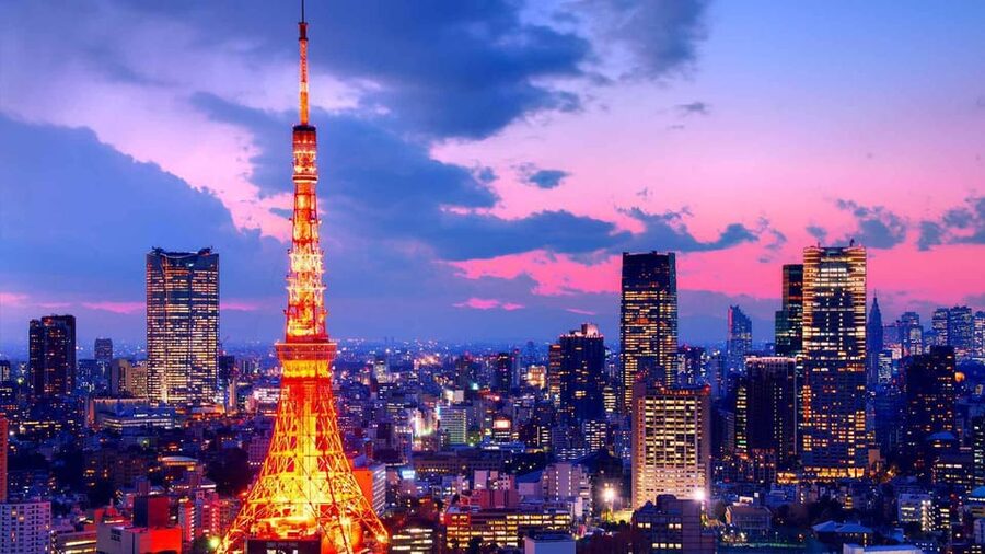 From Tokyo: Tokyo Private Customize Tour With English Driver - A private car is the main attraction