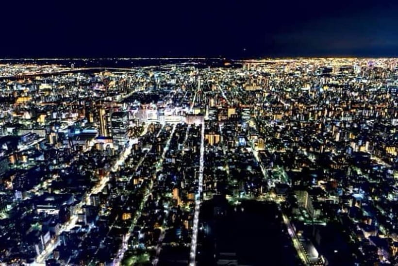 From Tokyo: Tokyo Private Customize Tour With English Driver - Harajuku and Takeshita Street