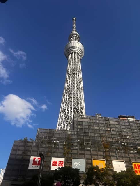 From Tokyo: Tokyo Private Customize Tour With English Driver - Tsukiji Outer Market for food and local color