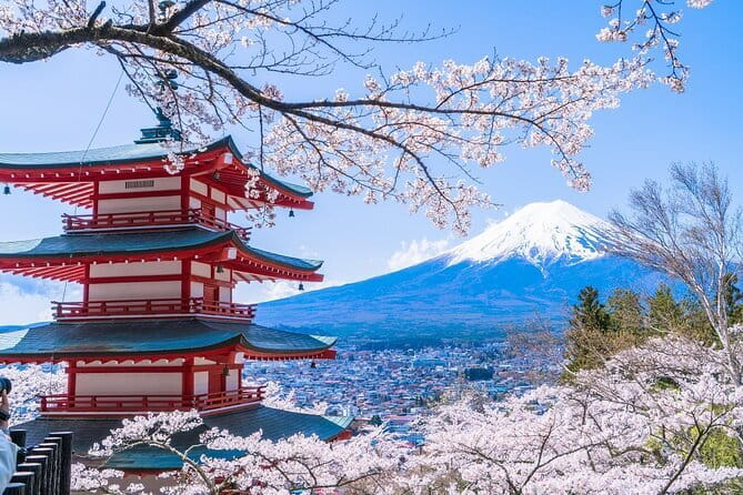 From Tokyo: Top 5 Scenic Spots of Mount Fuji Full-Day Tour - Five things to know before you book
