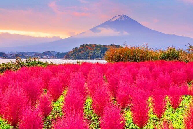 From Tokyo: Top 5 Scenic Spots of Mount Fuji Full-Day Tour - Arakurayama Sengen Park and the famous pagoda view
