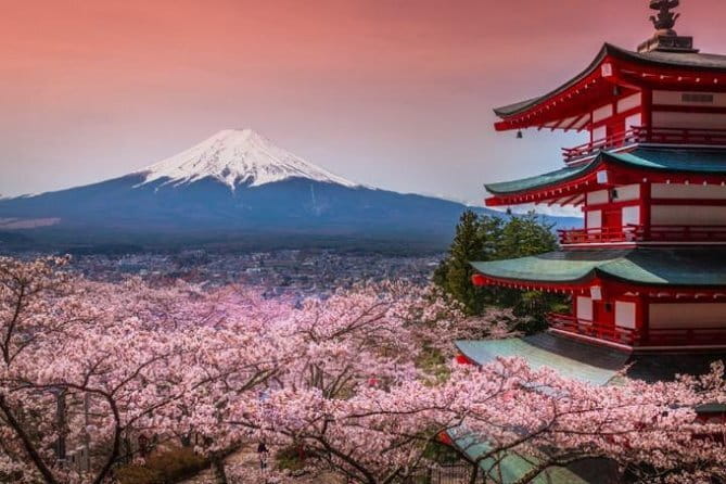 Fuji and Lake Kawaguchi Tour - A private route from Tokyo to two Fuji viewing areas