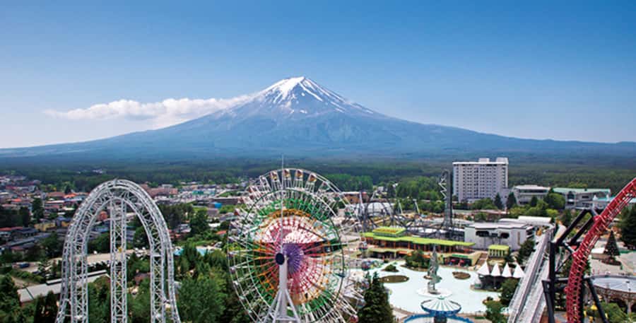 Fuji-Q Highland Amusement Park: 1 Day private tour by Car - Reliability deserves careful attention