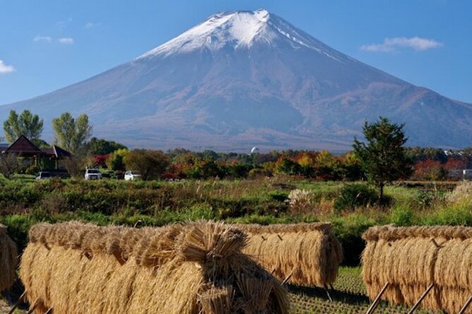 Fuji Speedway Self Drive & Mt. Fuji Private Tour pickup & dropoff - What the price really includes