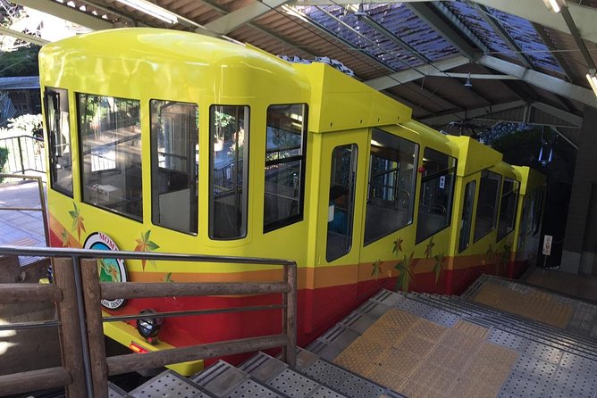 Full Day Hiking Tour at Mt.Takao including Hot Spring - What the $118.89 price buys you