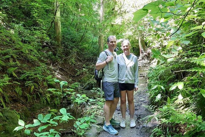 Full Day Hiking Tour at Mt.Takao including Hot Spring - Walking through Yakuo-in Temple