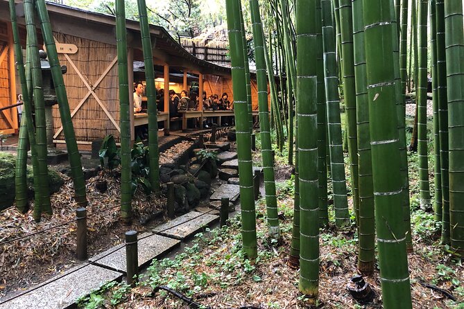 Full Day Kamakura Tour, From/To Tokyo, Yokohama, 2- 12 guests - Hase-dera, Kannon, and the hilltop setting