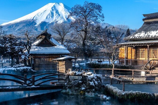 Full Day Private Tour in Mt. Fuji and Hakone - Key points to know before you book