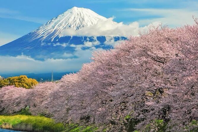 Full Day Private Tour of Mt Fuji - Fuji-Q Highland adds an amusement park option