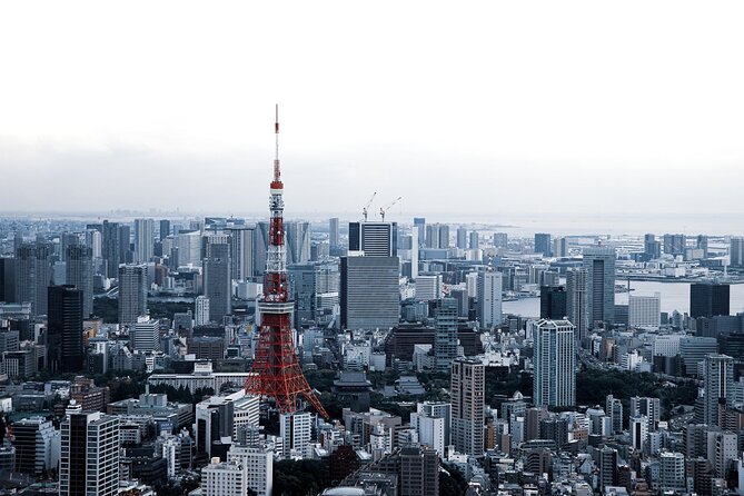 Full-Day Private Tour to Discover The Best of Tokyo - Ueno Park and the Cherry Blossom Season