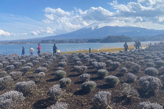 Full Day Private Tour to Mt Fuji by Luxury Vehicle - Why a private van makes Mt Fuji easier