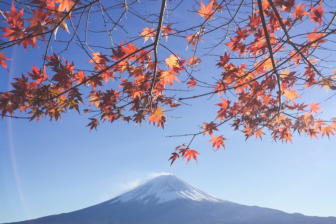 Full Day Private Tour to Mt Fuji by Luxury Vehicle - Oshino Hakkai and the water from Fuji