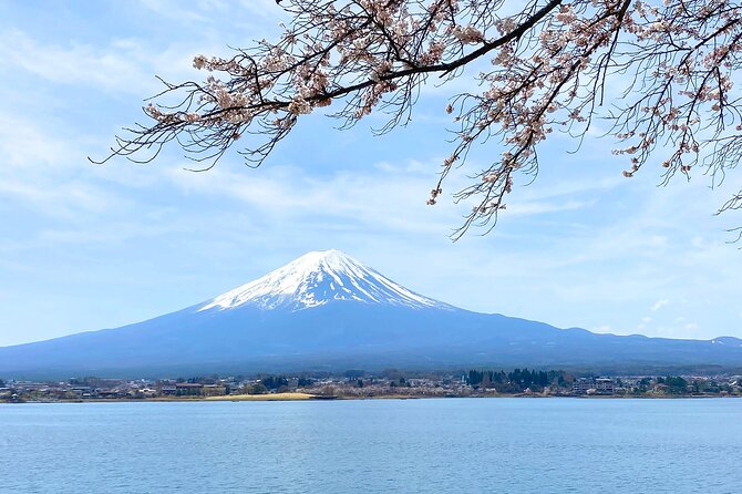 Full Day Private Tour to Mt Fuji by Luxury Vehicle - Houtou Fudou brings local food to the middle of the day