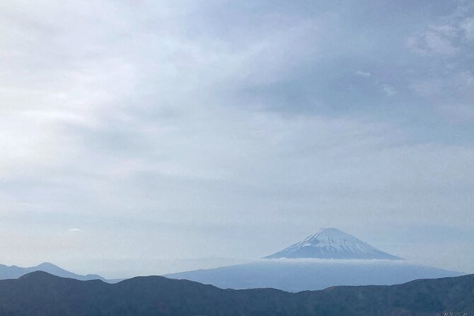Full Day Private Tour to Mt Fuji by Luxury Vehicle - A cedar forest and the old route up Mt Fuji