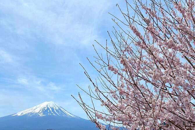 Full Day Private Tour to Mt Fuji by Luxury Vehicle - What happens when Fuji is hidden