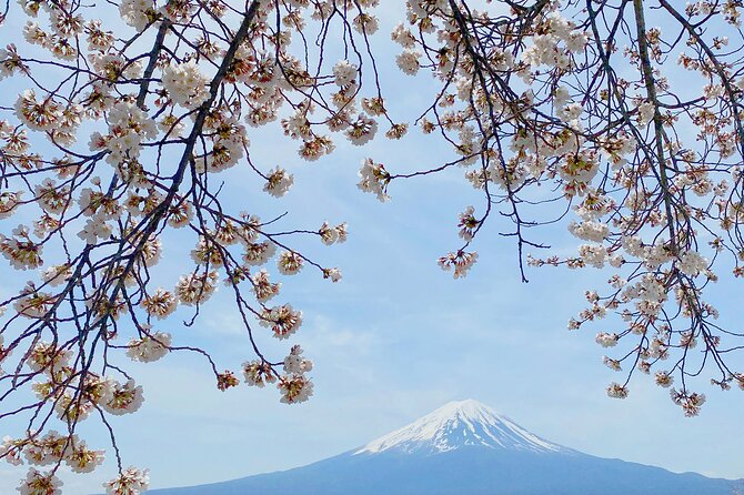 Full Day Private Tour to Mt Fuji by Luxury Vehicle - How the day suits different groups