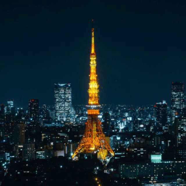 Full Day Tokyo City Private Tour Sightseeing Full Customised - Meiji Shrine and the quiet side of Tokyo