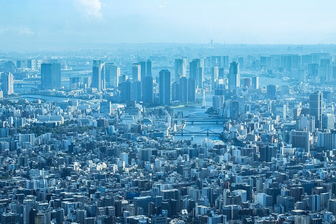 Full Day Tokyo Private Tour by Luxury Vehicle - The Imperial Palace area: an outside look at the center of power