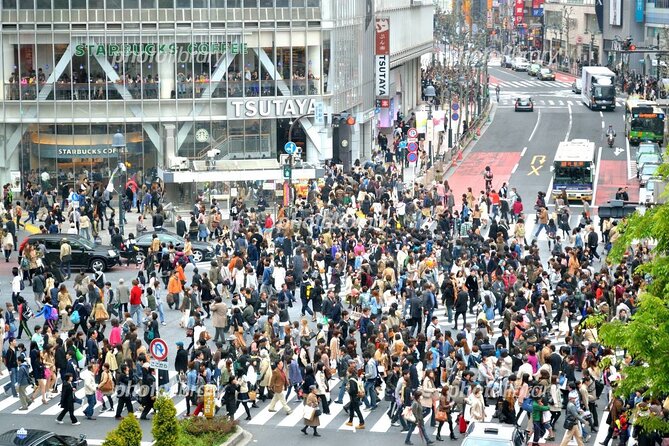 Full Day Tokyo Tour, From/To Tokyo,Yokohama, Narita, 2- 12 guests - Tsukiji is still useful after the wholesale market moved