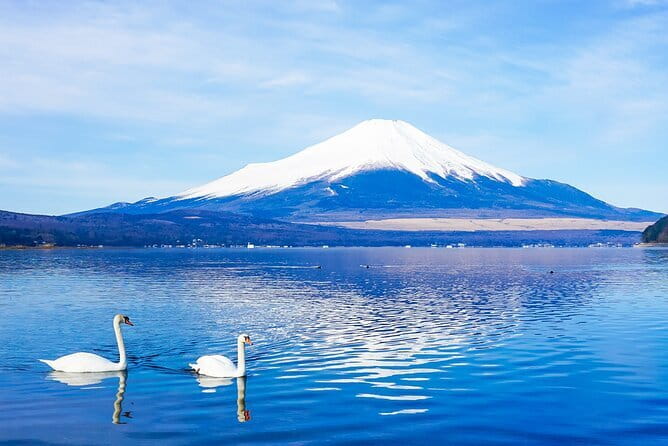 Full Day Tour at Mt. Fuji, Onsen, Lake Kawaguchi and Yamanaka - Key points to know before booking