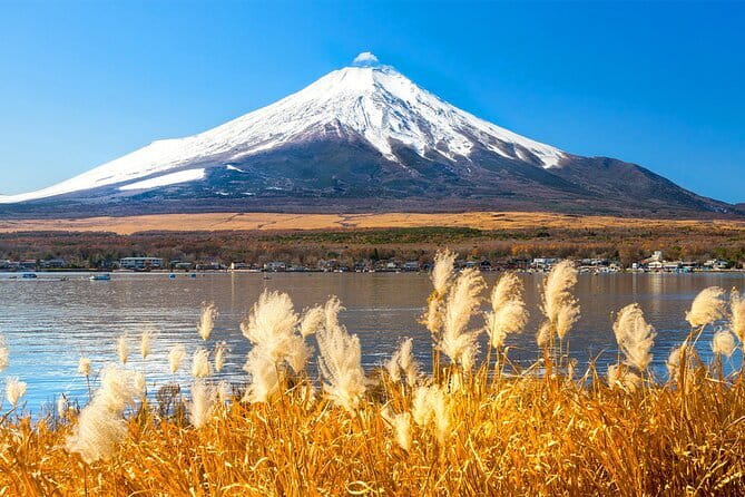 Full Day Tour at Mt. Fuji, Onsen, Lake Kawaguchi and Yamanaka - Why this Mount Fuji day trip makes sense from Tokyo