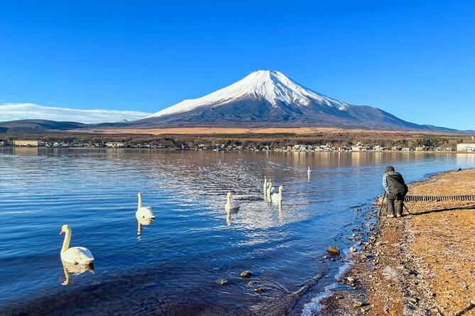 Full Day Tour at Mt. Fuji, Onsen, Lake Kawaguchi and Yamanaka - Lake Kawaguchi gives you the main Fuji view