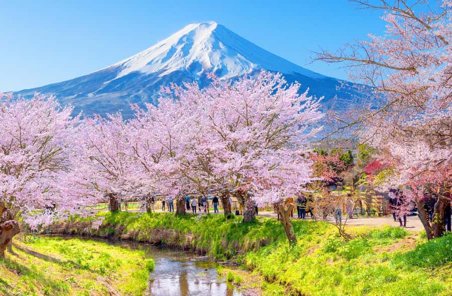 Full-Day Tour to the Picturesque Spots of Mount Fuji - Key points at a glance