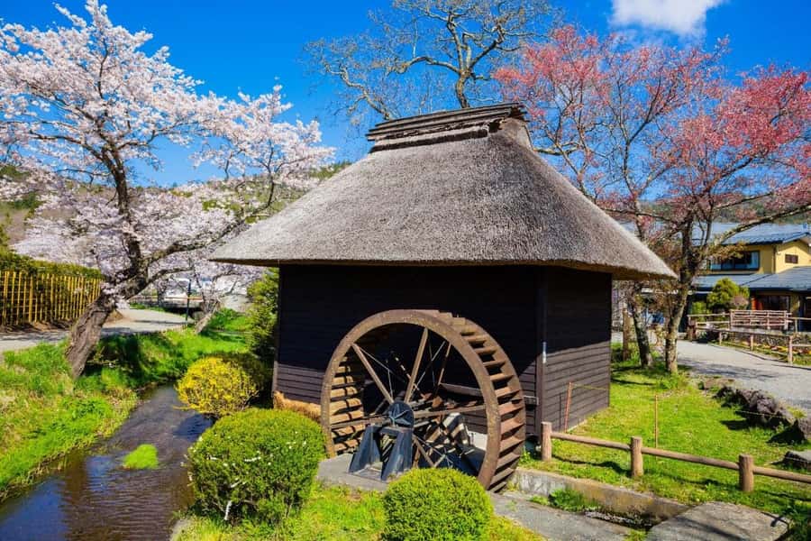 Full-Day Tour to the Picturesque Spots of Mount Fuji - Why this day trip works for first-time Fuji visitors