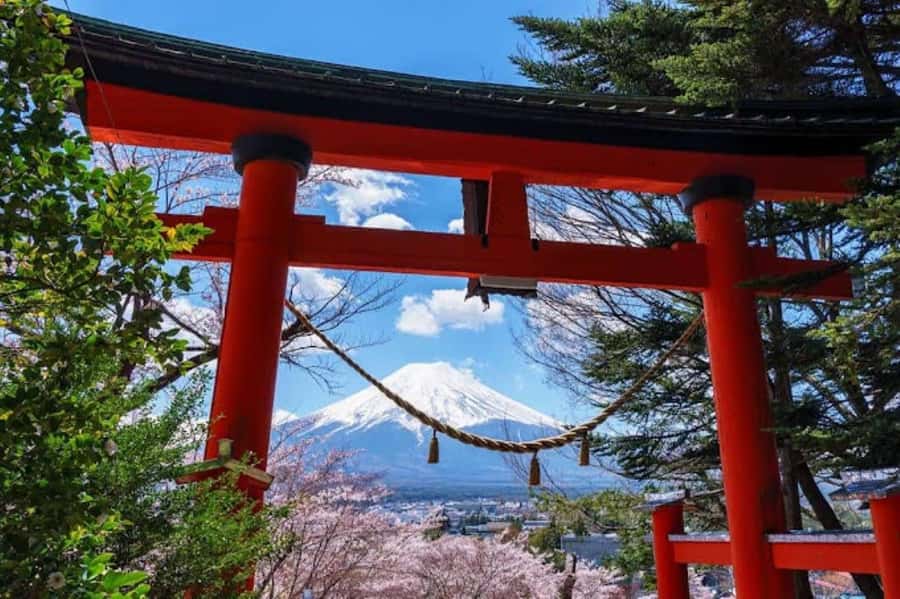 Full-Day Tour to the Picturesque Spots of Mount Fuji - The guide and the ride from Tokyo