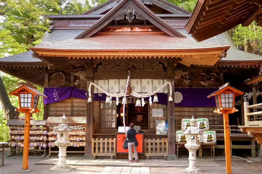 Full-Day Tour to the Picturesque Spots of Mount Fuji - What the $49 price includes, and what it does not