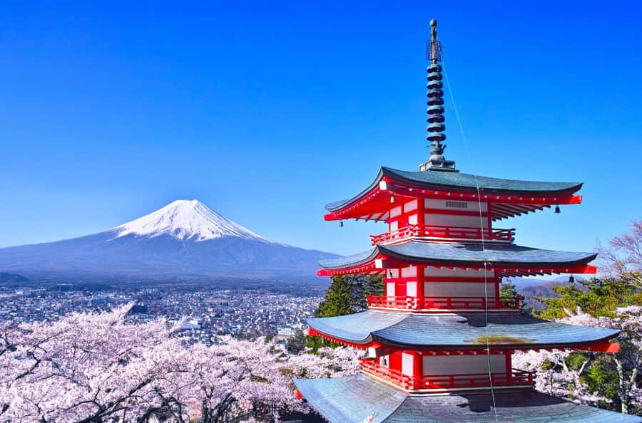 Full-Day Tour to the Picturesque Spots of Mount Fuji - Weather, crowds, and the Fuji photo question